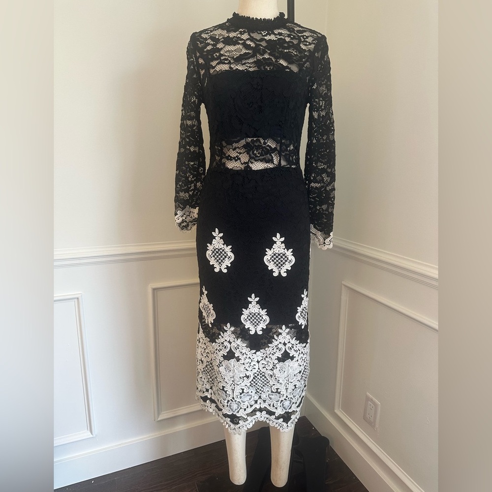 Alexis Black and White Lace Dress